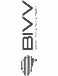 BIVV BRAIN IMAGE VOICE VIDEO logo