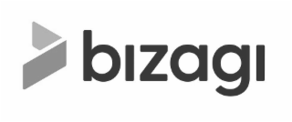 BIZAGI logo