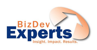 BIZDEV EXPERTS INSIGHT. IMPACT. RESULTS. logo
