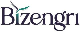 BIZENGRI logo