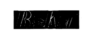 BIZKID logo