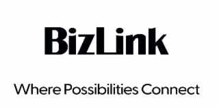 BIZLINK WHERE POSSIBILITIES CONNECT logo