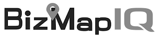 BIZMAPIQ logo