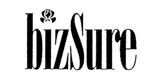 BIZSURE logo