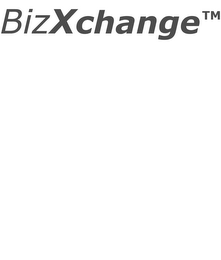 BIZXCHANGE logo