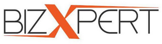 BIZXPERT logo