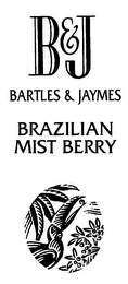 B&J BARTLES & JAYMES BRAZILIAN MIST BERRY logo