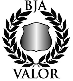 BJA VALOR logo