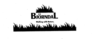 BJORNDAL WALKING WITH NATURE. logo