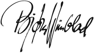 BJØRN WIINBLAD logo