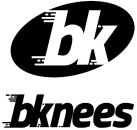 BK BKNEES logo