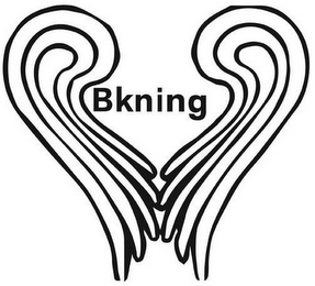 BKNING logo