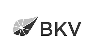 BKV logo