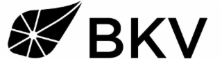 BKV