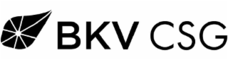 BKV CSG logo