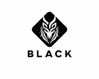 BLACK logo