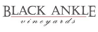 BLACK ANKLE VINEYARDS logo
