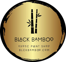 BLACK BAMBOO EXOTIC PLANT SHOP BLCKBAMBOO.COM logo