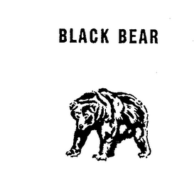 BLACK BEAR logo