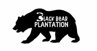 BLACK BEAR PLANTATION logo
