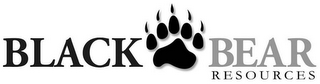 BLACK BEAR RESOURCES logo