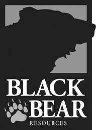 BLACK BEAR RESOURCES logo