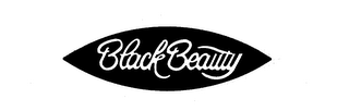 BLACK BEAUTY logo