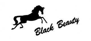 BLACK BEAUTY logo