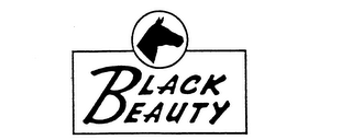 BLACK BEAUTY logo
