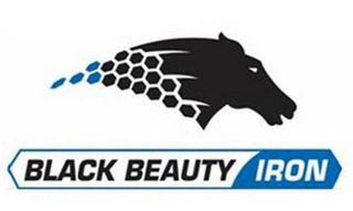 BLACK BEAUTY IRON logo