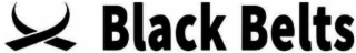 BLACK BELTS logo