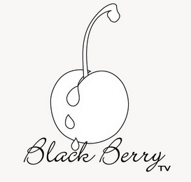 BLACK BERRY TV logo