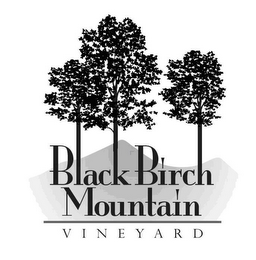 BLACK BIRCH MOUNTAIN VINEYARD logo