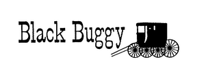 BLACK BUGGY logo