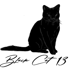 BLACK CAT 13 logo