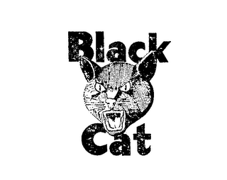 BLACK CAT logo