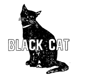 BLACK CAT logo