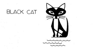 BLACK CAT logo