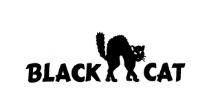 BLACK CAT logo