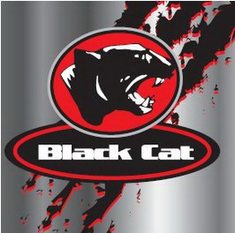 BLACK CAT logo