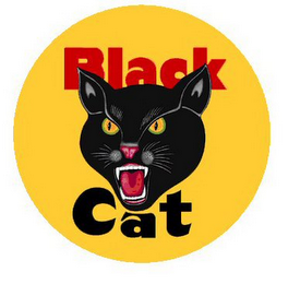 BLACK CAT logo