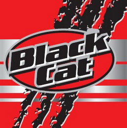 BLACK CAT logo
