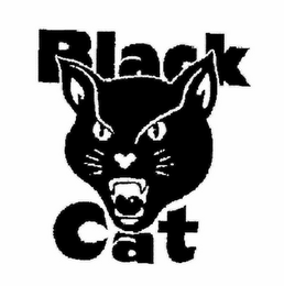 BLACK CAT logo