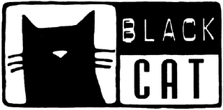 BLACK CAT logo
