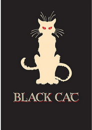 BLACK CAT logo