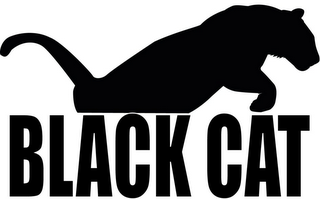 BLACK CAT logo