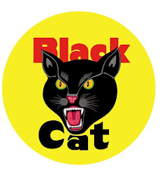 BLACK CAT logo