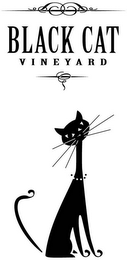 BLACK CAT VINEYARD logo