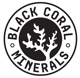 BLACK CORAL MINERALS logo