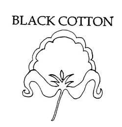 BLACK COTTON logo